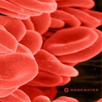 Rosewater - bloodcounT