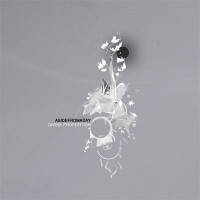 Aside From A Day - Divine Proportion