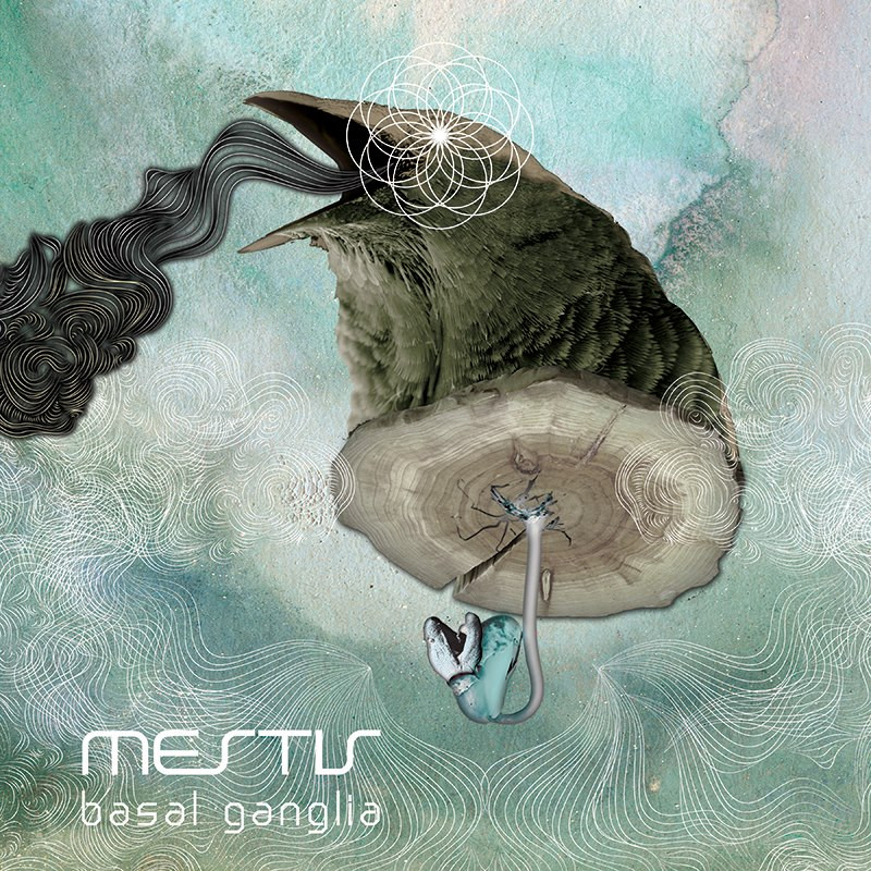 Mestis – Basal Ganglia