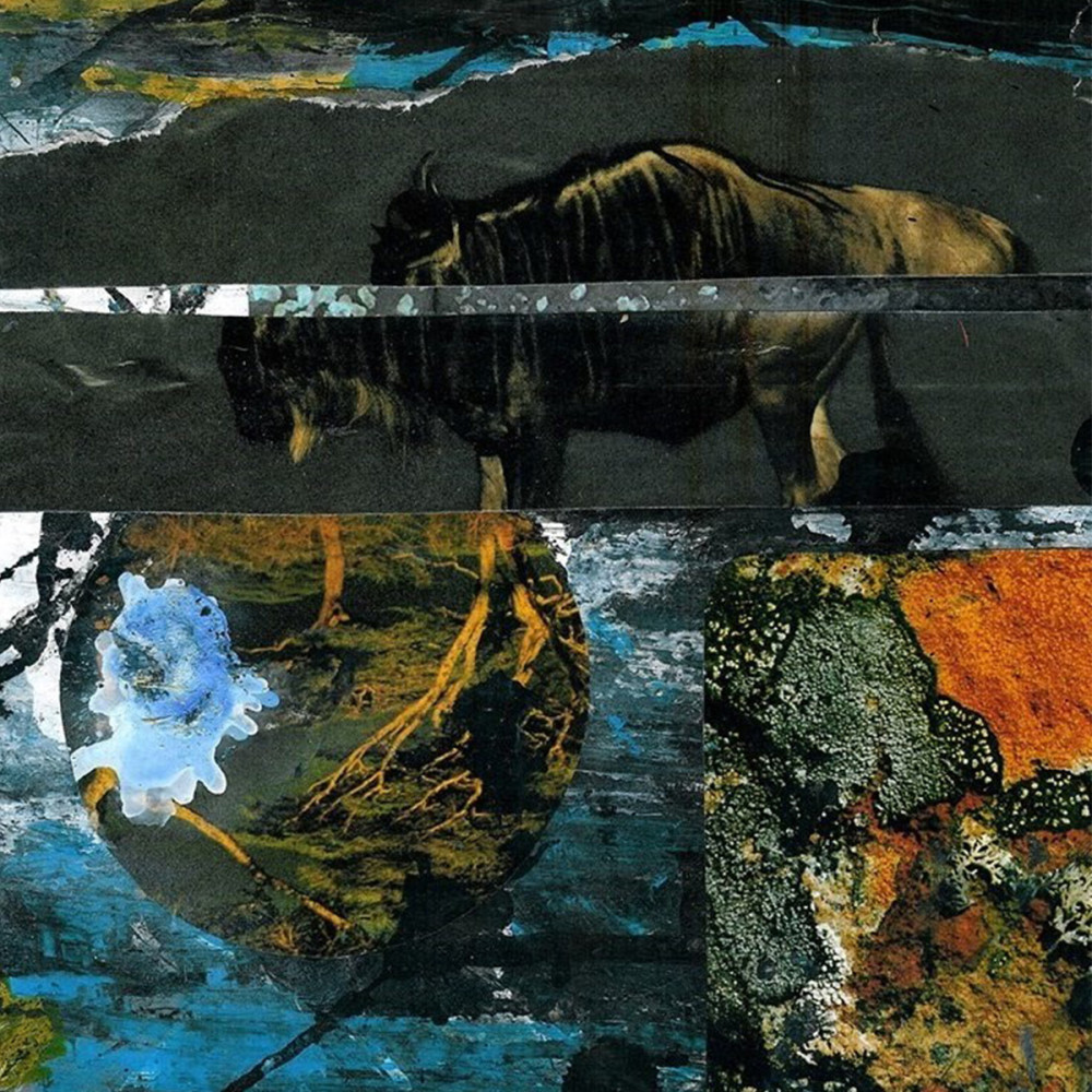 Visszatér a fény: Black Hourglass interjú