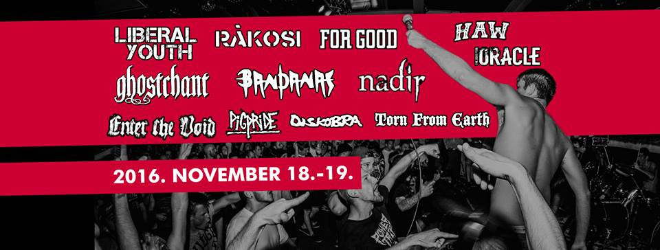 Mentsük meg a Dürerpincét!