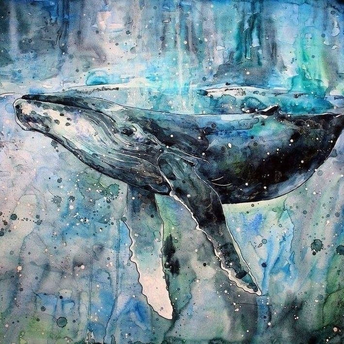 Végighallgatható a győri Silent Island bemutatkozó kislemeze