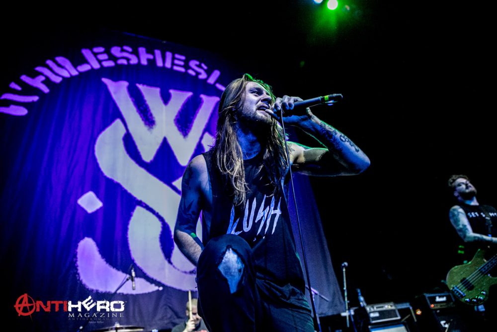 While She Sleeps