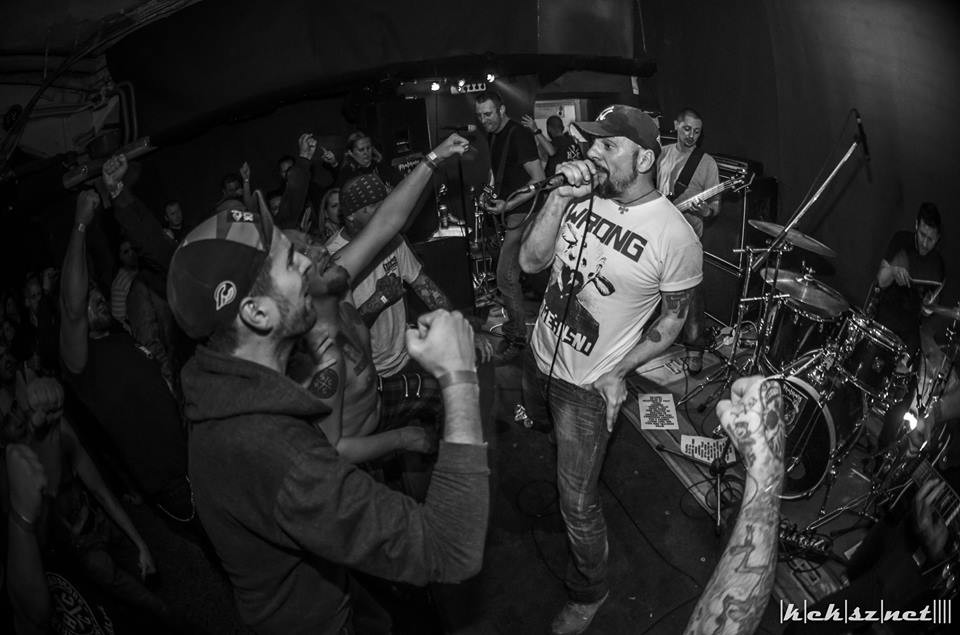 Egy győri állatmenhelyért segélykoncerteznek hazai hardcore- és punkbandák