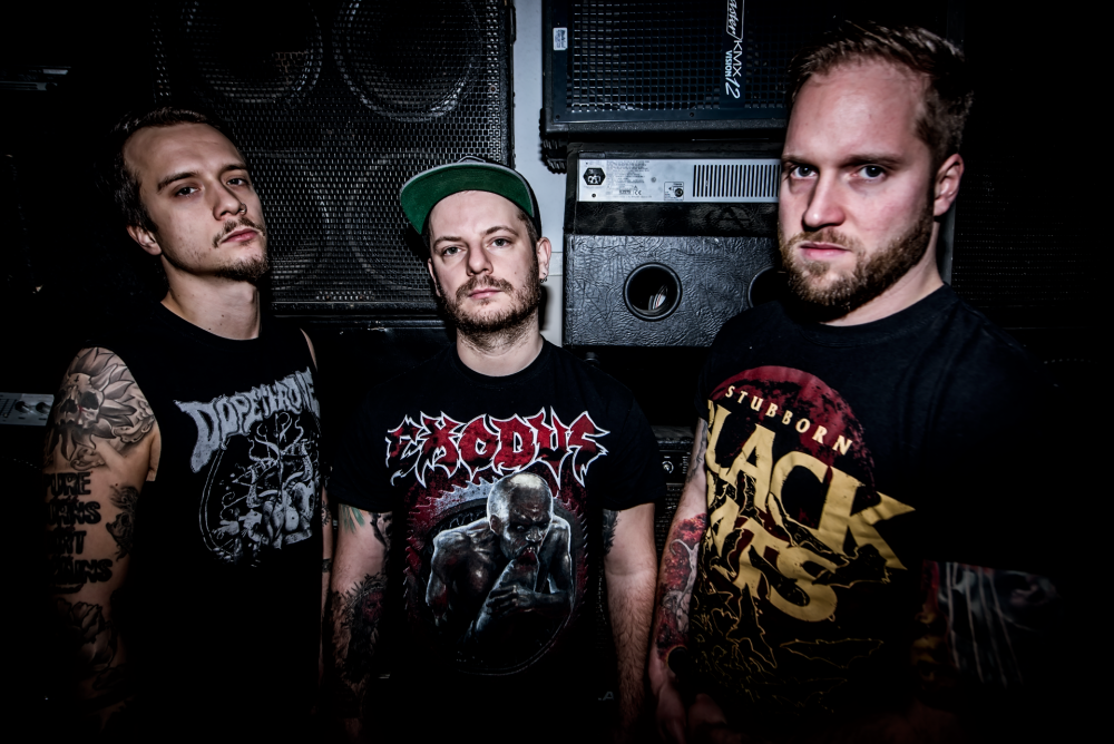 apey_and_the_pea_2017