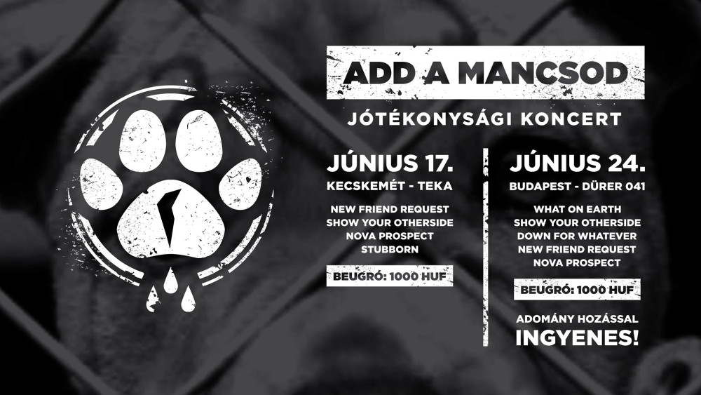 Jótékonyság és modern metal a Dürerben és Kecskeméten