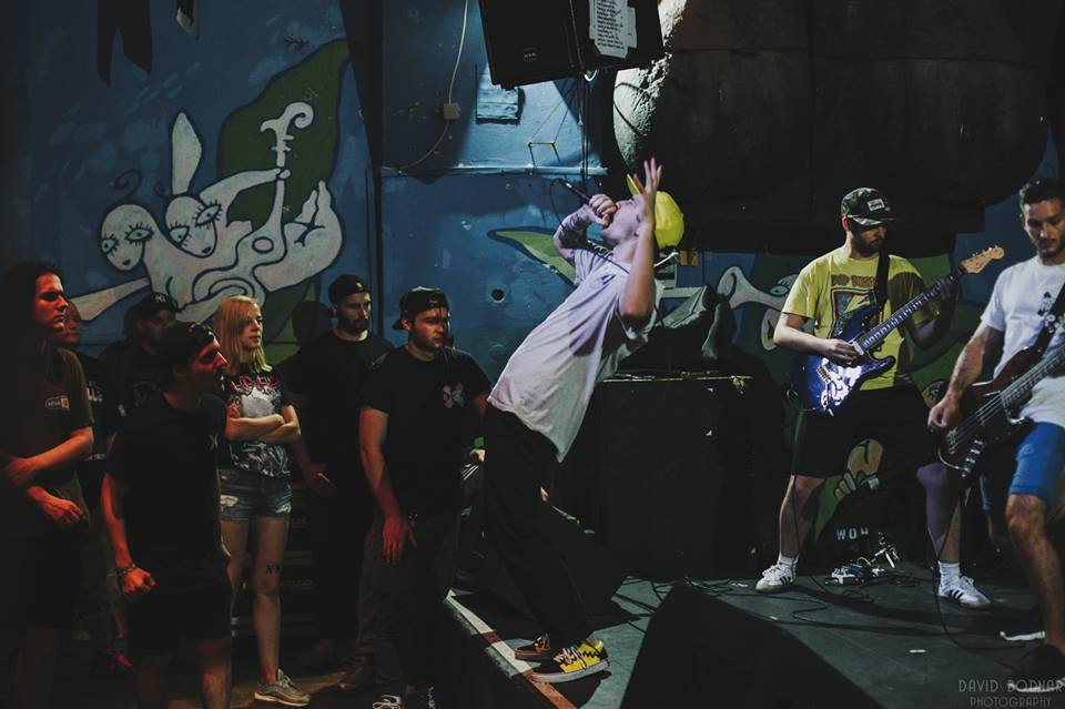 Kutyákért jótékonykodnak a punkzenekarok a Dürerpincében