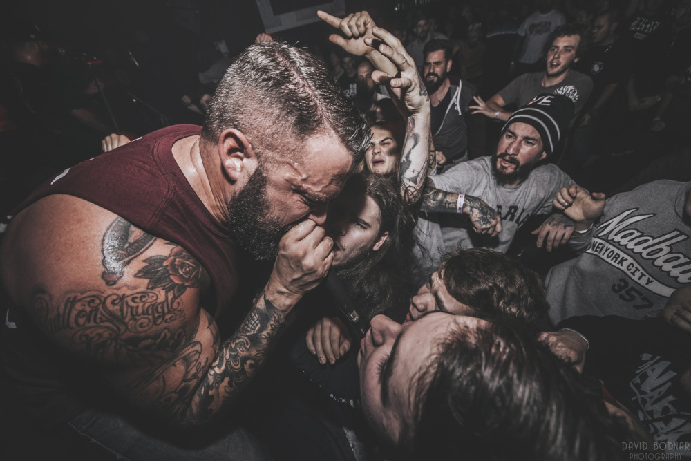 Lionheart, Deez Nuts és Obey the Brave ősszel a Dürerben