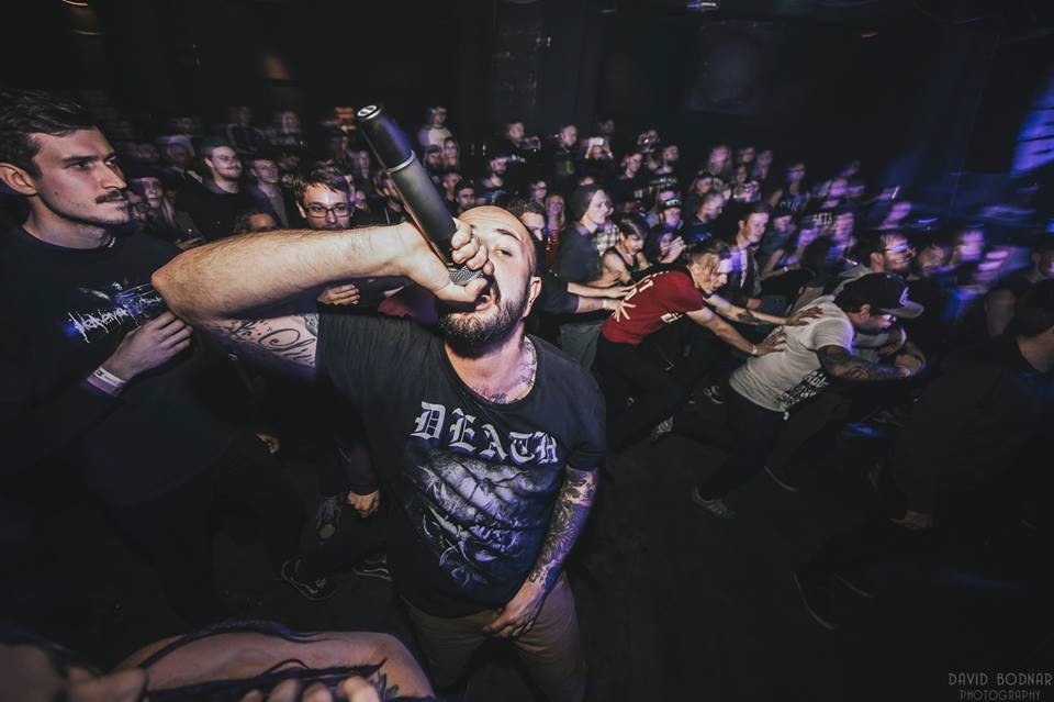 Kistermes bulival jön a Dürerbe a Being as an Ocean