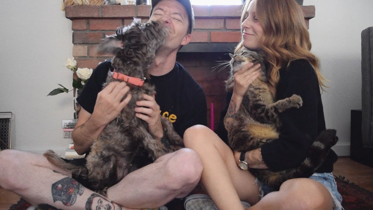 Himnusz a házi kedvencekhez - Új klipes dalt mutat a Touché Amoré