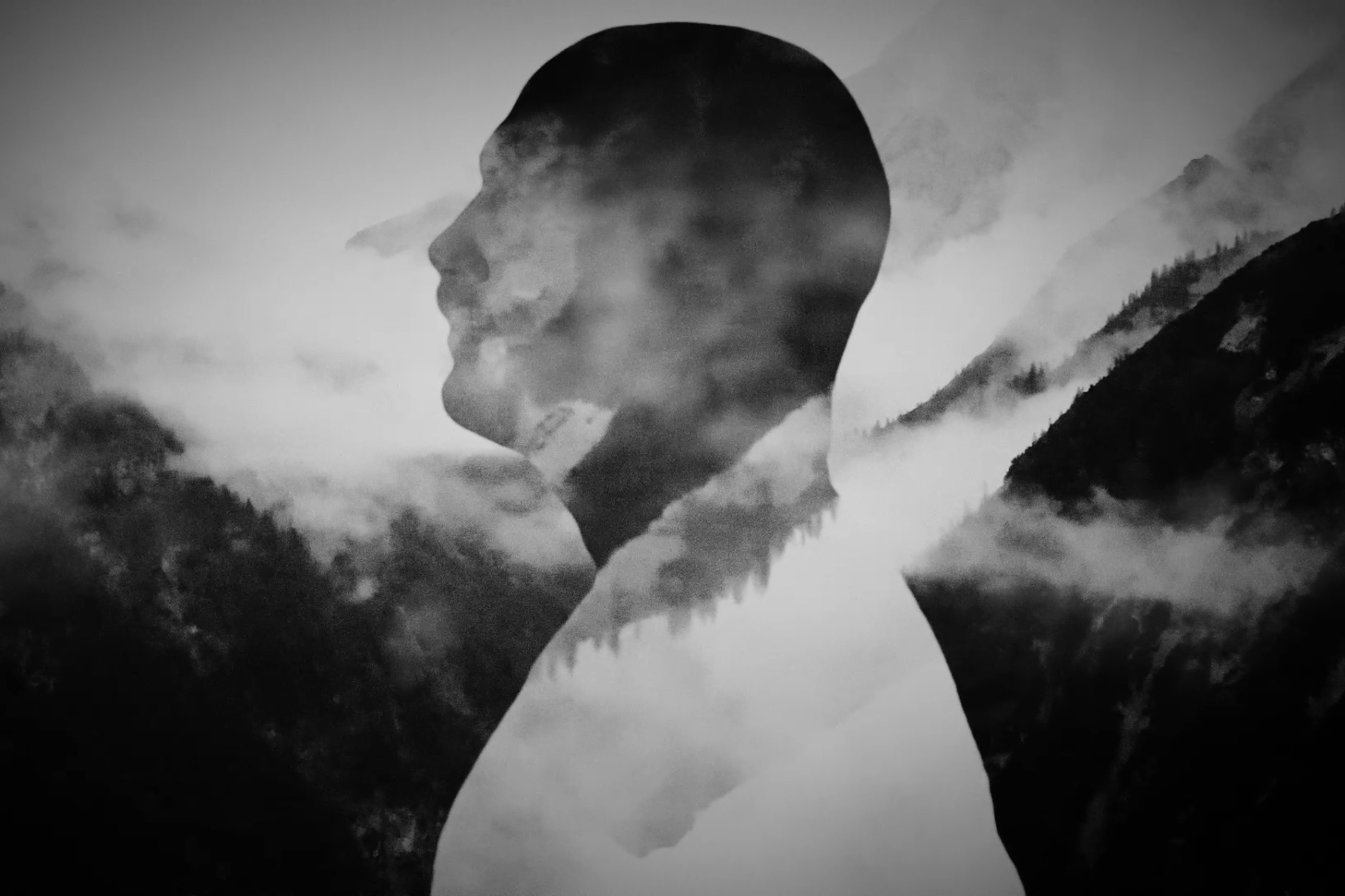 A The Devil's Trade-del közös dalt adott ki a Der Weg einer Freiheit