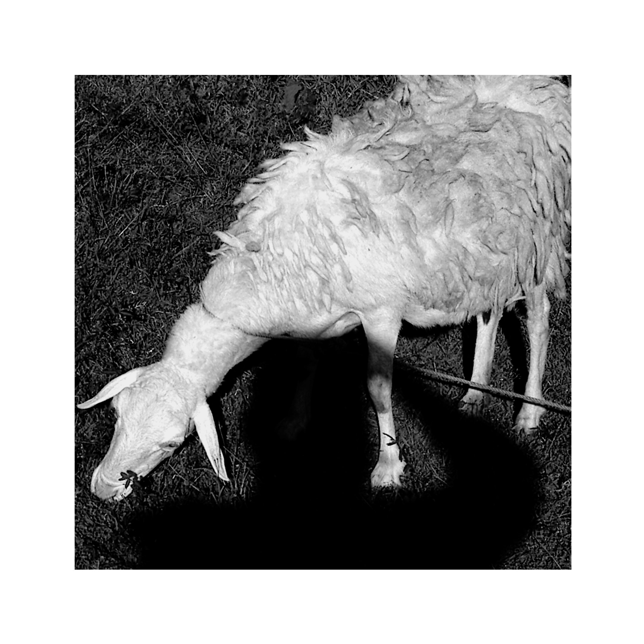 Az elfojtott érzelmek felszabadításából fakadó újjászületés - All Machines Will Fail: And We