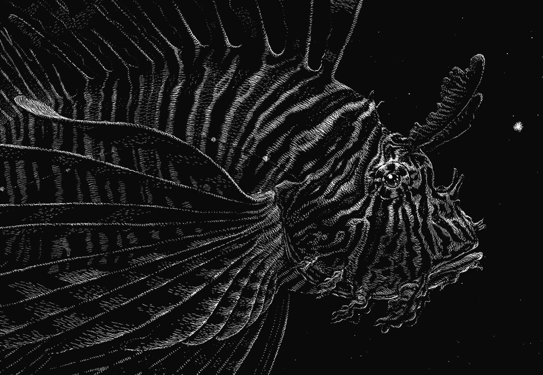 Rohadtul tele a tököm ezzel a mikrofonállvánnyal! - Egy megbabonázó poszt-metal szeánsz Brightonban