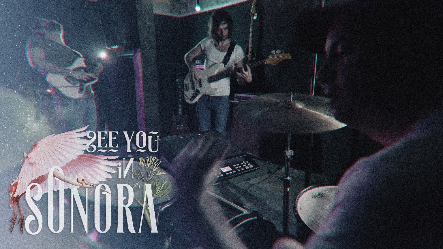 See You in Sonora: új zenekart alapítottak a Heartlapse, a Cielo Dive és a Belt Capricorn Starts Here tagjai