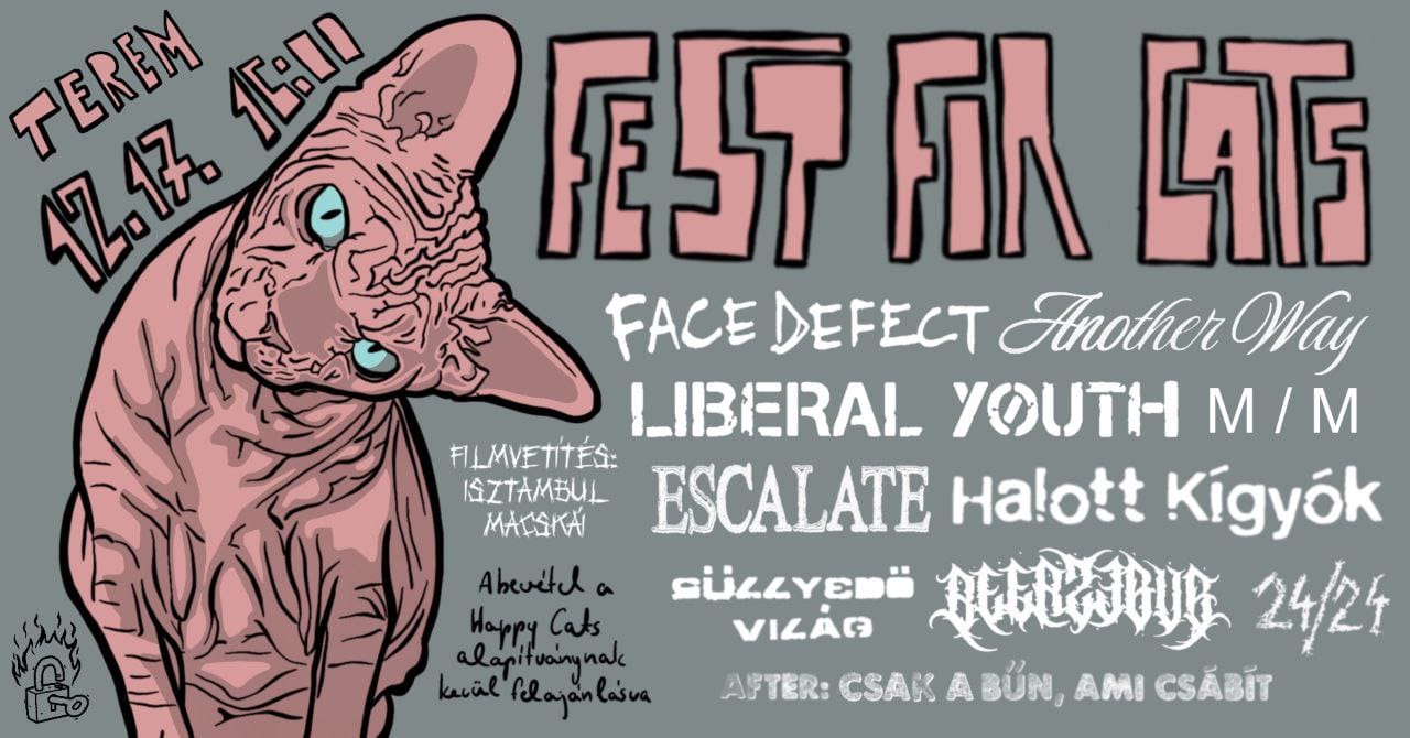 Macskamentő hardcore-fesztivál lesz a veszprémi Teremben