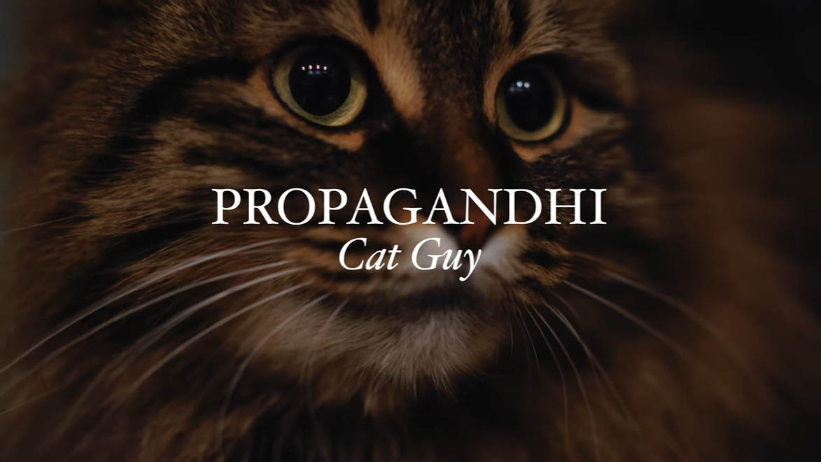 Cuki macskákkal pakolta tele legújabb videóját a Propagandhi